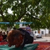 2014-v.rosario-miguel.perez-49