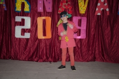 2019-carnaval-23