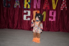 2019-carnaval-24